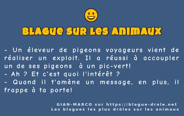 Un éleveur de pigeons voyageurs vient de...