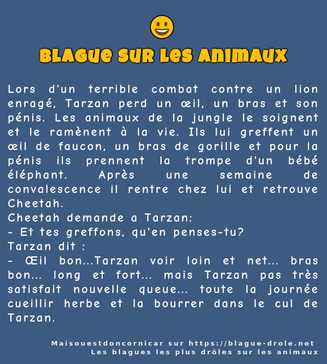 Lors d'un terrible combat contre un lion...