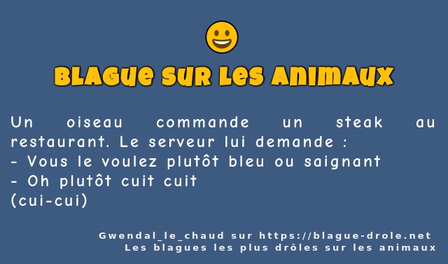 Un oiseau commande un steak au restaurant....
