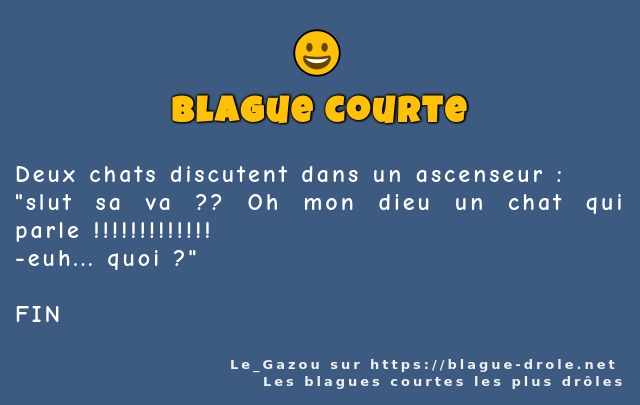 Deux chats discutent dans un ascenseur :