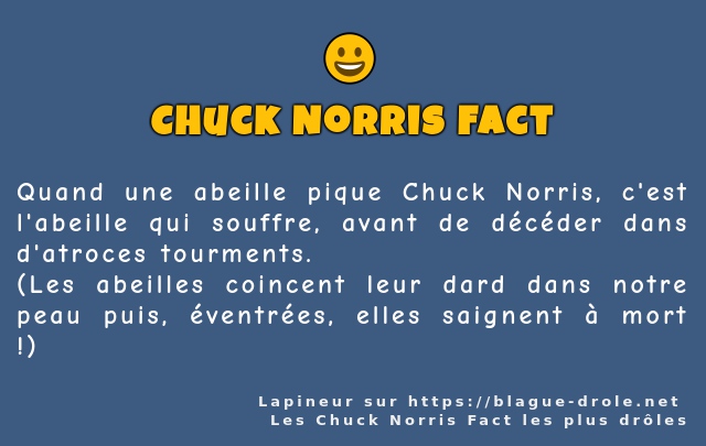 Quand une abeille pique Chuck Norris, c'est...