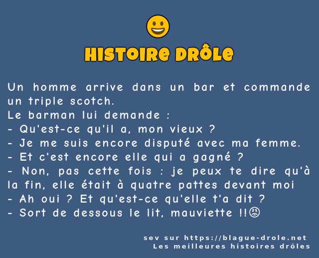 Un homme arrive dans un bar et commande un...
