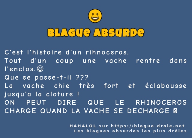 C'est l'histoire d'un rihnoceros.