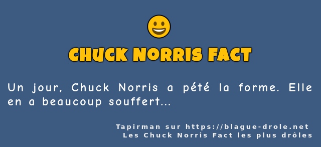 Un jour, Chuck Norris a pété la forme. Elle...