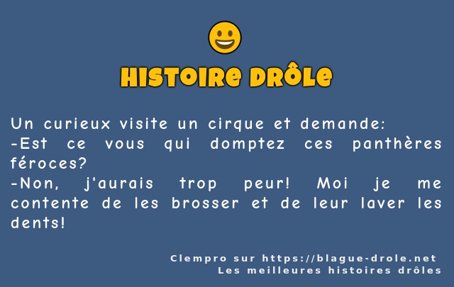 Un curieux visite un cirque et demande: