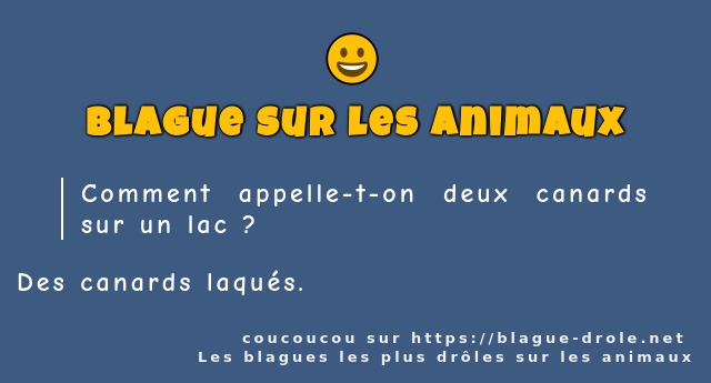 Comment appelle-t-on deux canards sur un lac...