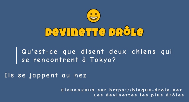 Qu'est-ce que disent deux chiens qui se...