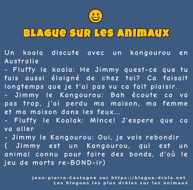 Un koala discute avec un kangourou en...