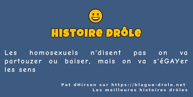 Les homosexuels n'disent pas on va partouzer...