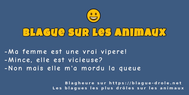 Ma femme est une vrai vipere!