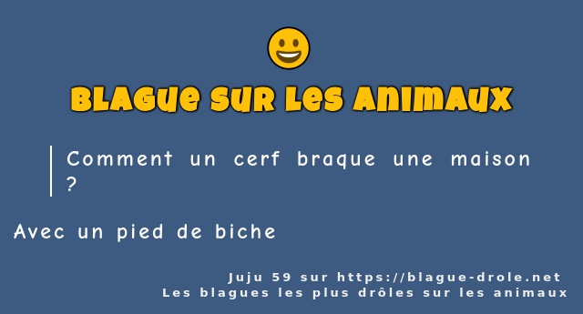 Comment un cerf braque une maison ?