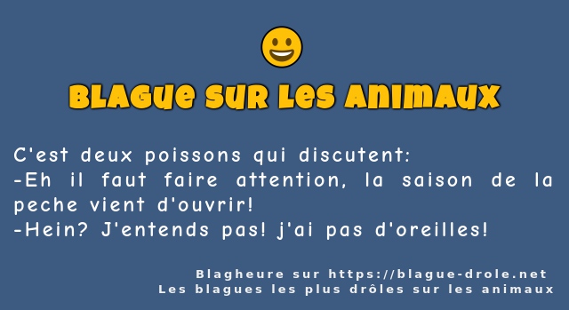 C'est deux poissons qui discutent: