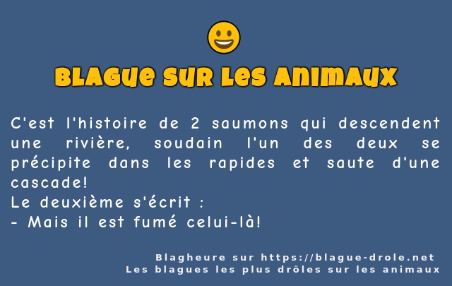 C'est l'histoire de 2 saumons qui descendent...