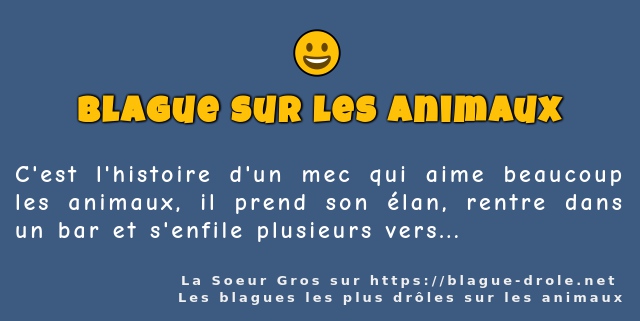 C'est l'histoire d'un mec qui aime beaucoup...