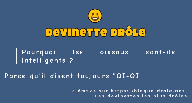 Pourquoi les oiseaux sont-ils intelligents ?