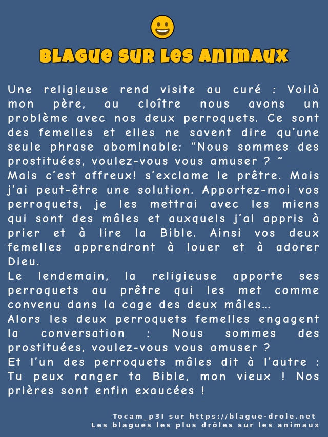Une religieuse rend visite au curé : Voilà...