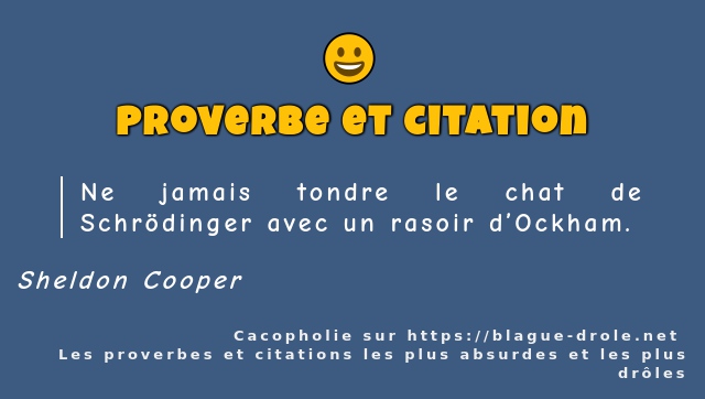 Ne jamais tondre le chat de Schrödinger avec...