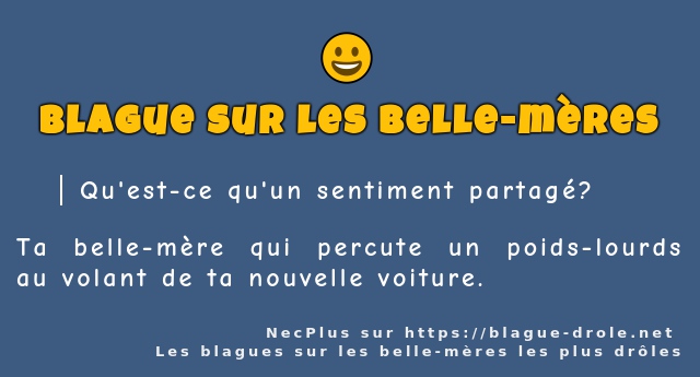 Qu'est-ce qu'un sentiment partagé ?