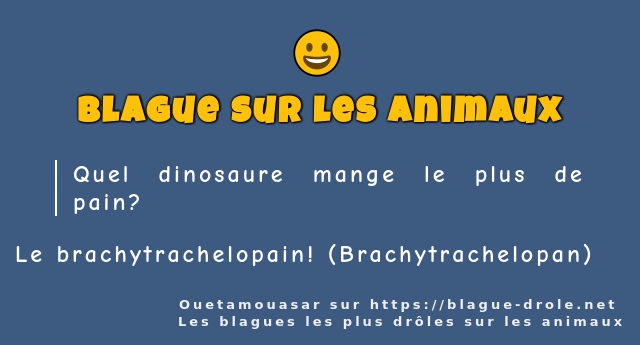 Quel dinosaure mange le plus de pain ?