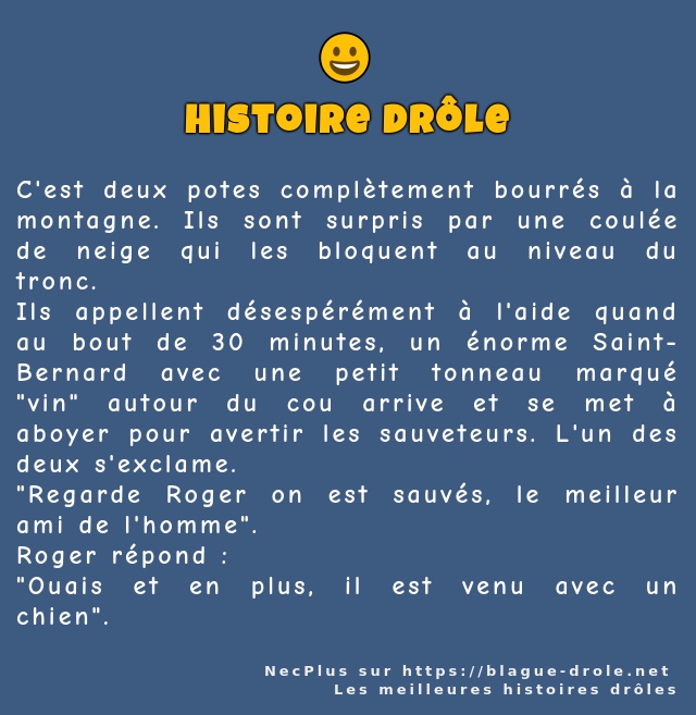 C'est deux potes complètement bourrés à la...