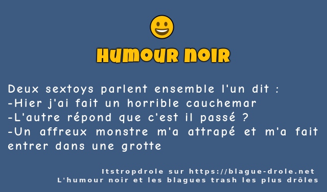 Deux sextoys parlent ensemble l'un dit :