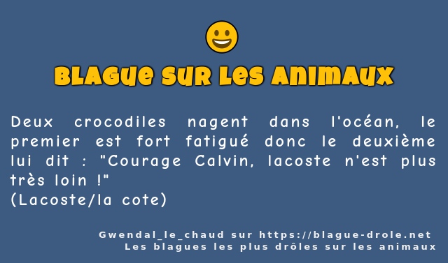 Deux crocodiles nagent dans l'océan, le...