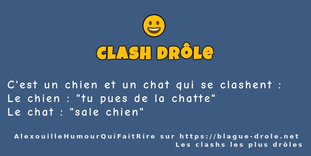 C'est un chien et un chat qui se clashent :