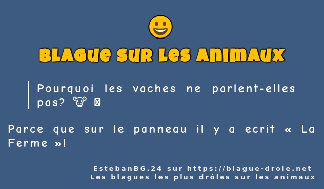 Pourquoi les vaches ne parlent-elles pas? 🐮 🤐