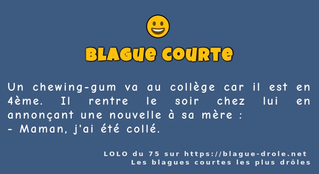 Un chewing-gum va au collège car il est en...