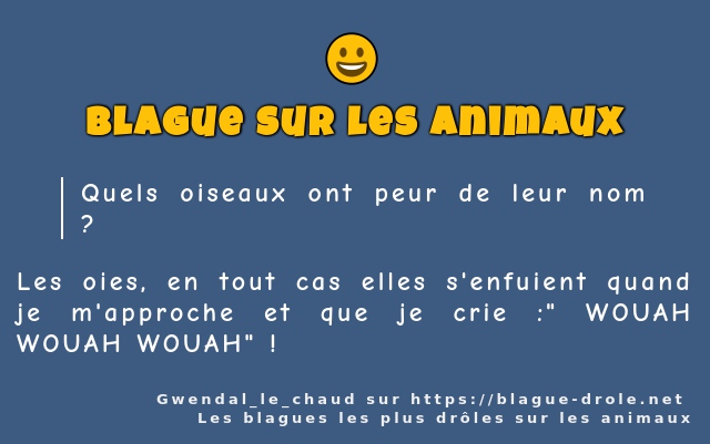 Quels oiseaux ont peur de leur nom ?