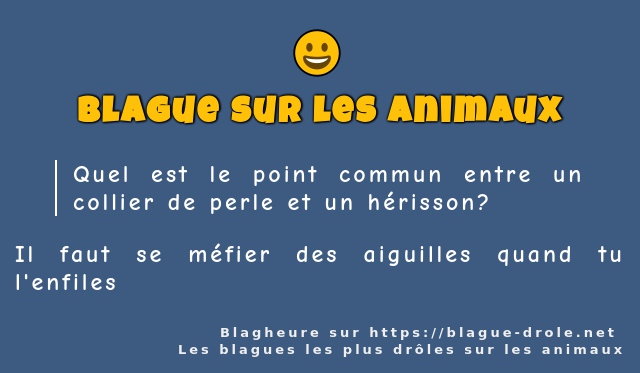 Quel est le point commun entre un collier de...