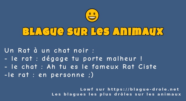 Un Rat à un chat noir :