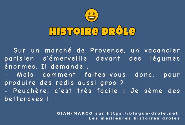   Sur un marché de Provence, un vacancier...