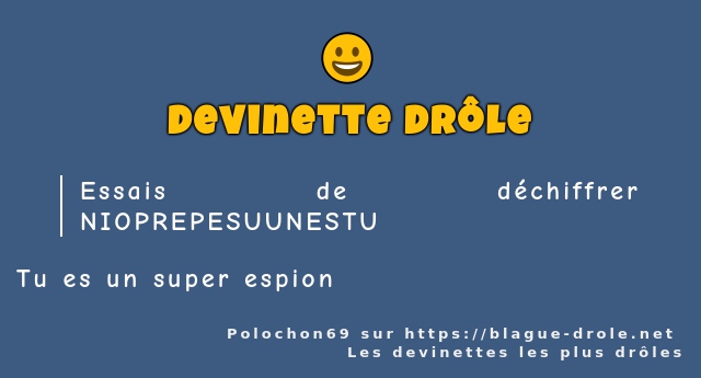 Essais de déchiffrer NIOPREPESUUNESTU
