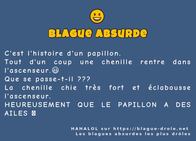 C'est l'histoire d'un papillon.