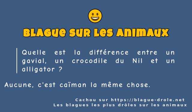 Quelle est la différence entre un gavial, un...