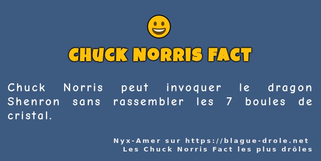 Chuck Norris peut invoquer le dragon Shenron...