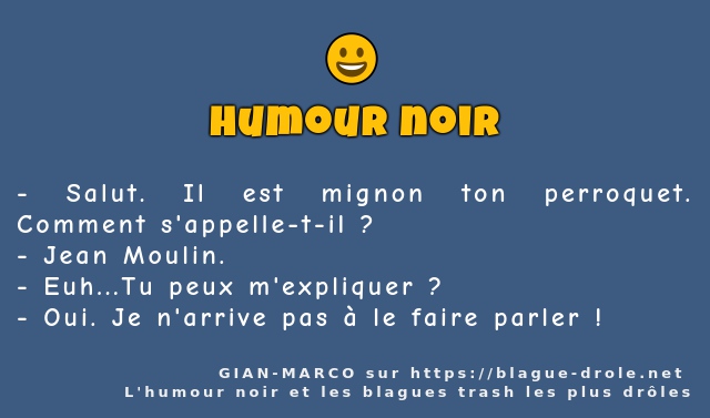 Salut. Il est mignon ton perroquet. Comment...