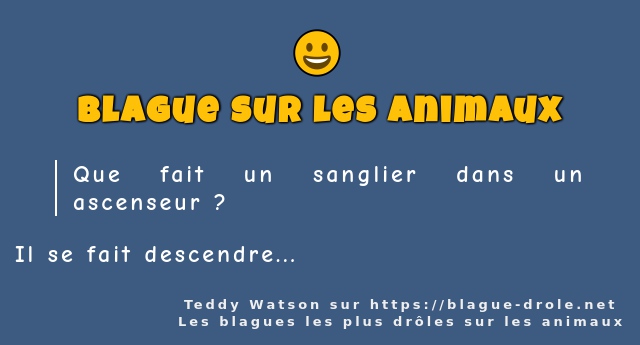 Que fait un sanglier dans un ascenseur ?