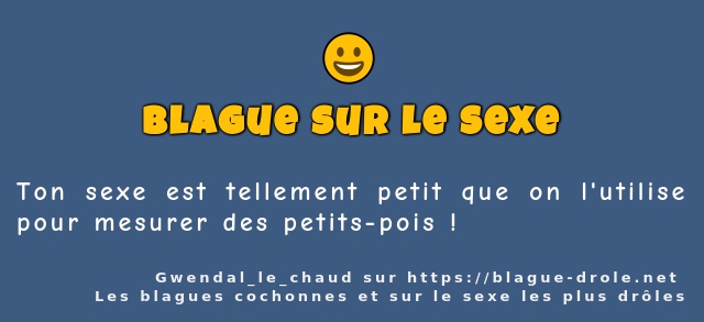 Ton sexe est tellement petit que on...