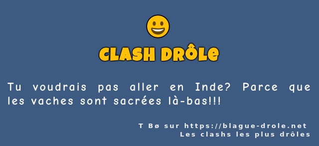 Tu voudrais pas aller en Inde? Parce que les...