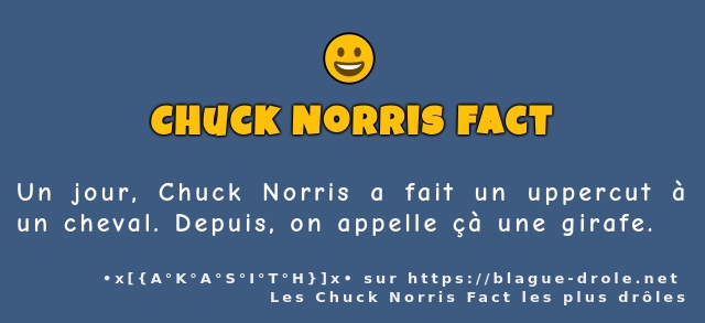 Un jour, Chuck Norris a fait un uppercut à...