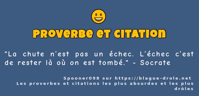 La chute n’est pas un échec. L’échec c’est...