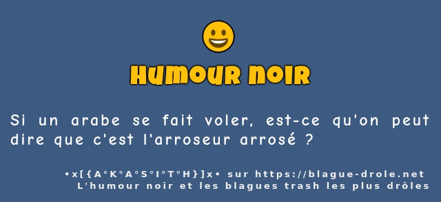 Si un arabe se fait voler, est-ce qu'on peut...