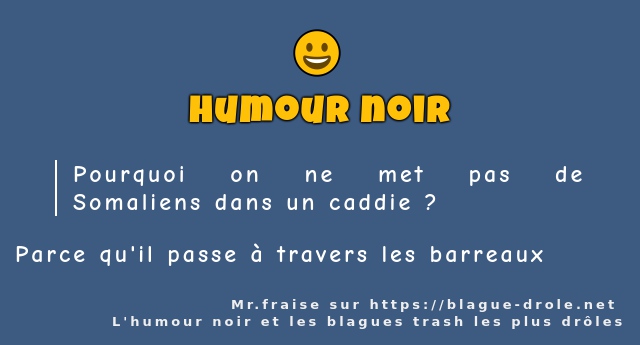 Pourquoi on ne met pas de Somaliens dans un...