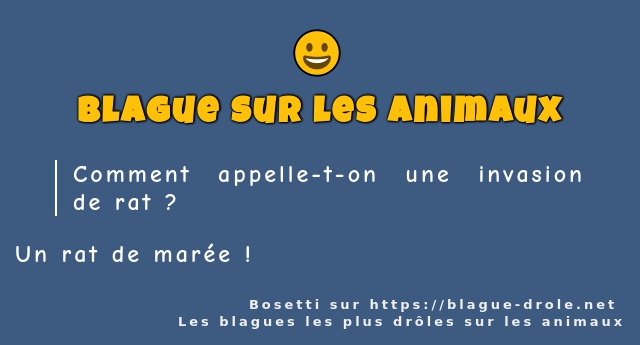 Comment appelle-t-on une invasion de rat ? 