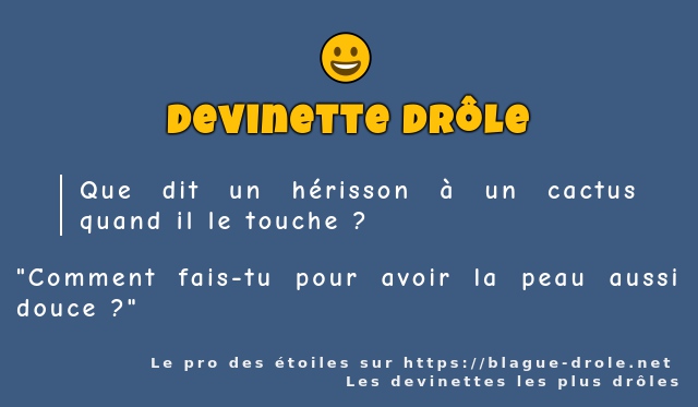 Que dit un hérisson à un cactus quand il le...