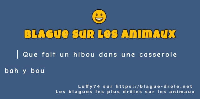 Que fait un hibou dans une casserole