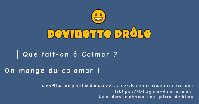 Que fait-on à Colmar ?