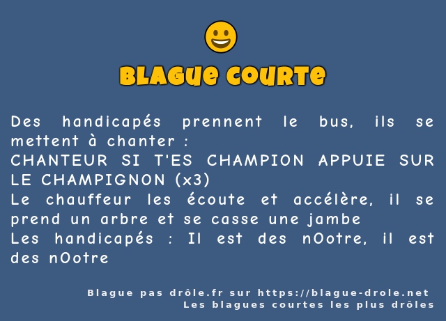 Des handicapés prennent le bus, ils se...